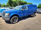 2010 Ford F150