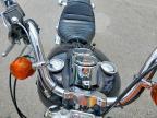 1985 Harley-Davidson Fxef