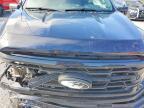 2025 Ford F150 XLT