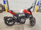 2025 Cf Moto 300NK