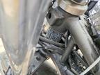 2024 Kawasaki EX500 H