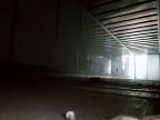 2022 Wabash Dvcvhpc DRY Van Trailer