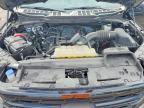 2024 Ford F150 XLT