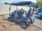 2024 Evolution Golf Cart