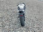 2026 Cf Moto 675SS