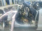 2025 Ford F150 Tremor