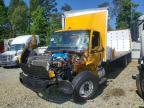 2024 International MV607 BOX Truck