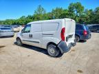 2019 Dodge RAM Promaster City