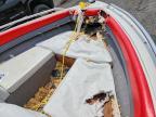 1990 Startcraft Boat-Boat