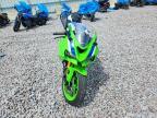 2024 Kawasaki ZX636 K