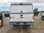 2010 Ford F150