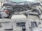 2024 Ford F150 STX