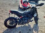 2022 Indian FTR
