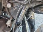 2019 Harley-Davidson FLH Series