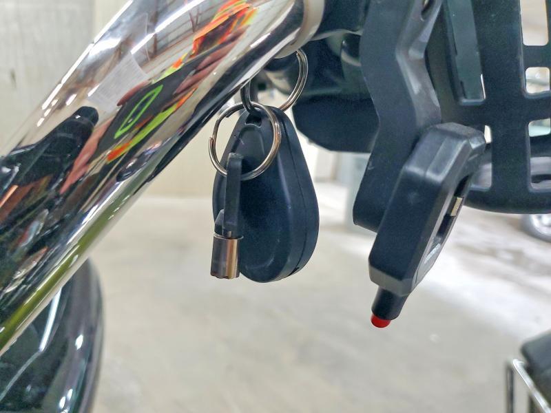 2022 Harley-Davidson Fltrk