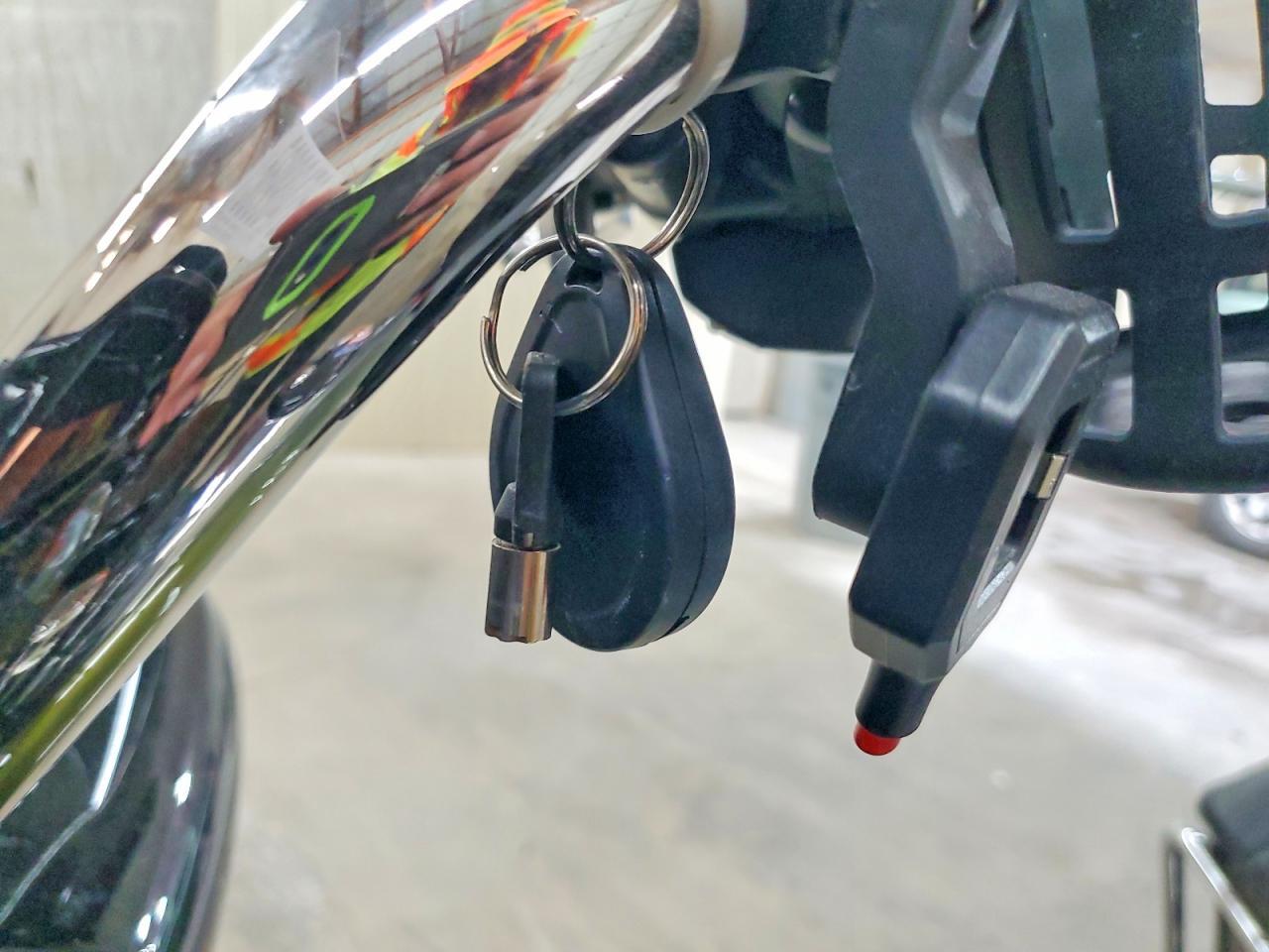 2022 Harley-Davidson Fltrk