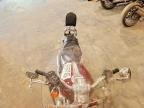 2005 Harley-Davidson XL1200 C