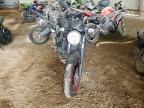 2023 Suzuki SV650