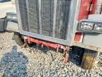 1993 Peterbilt 379 Semi Truck