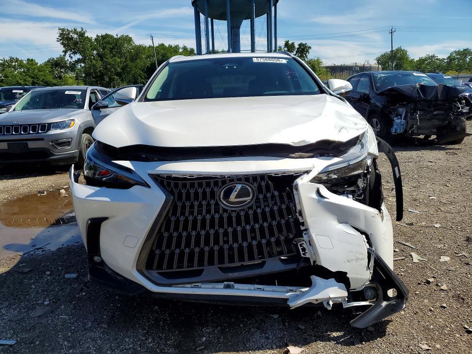 2024 Lexus NX 350 Base