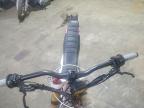 2024 E-Bike Alpine Stars