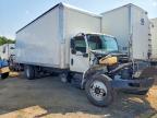 2024 International MV607 BOX Truck