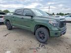 2020 Toyota Tundra TRD PRO