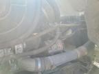 2007 Freightliner Conventional