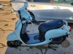 2022 Honda NCW50
