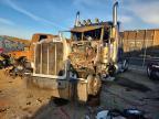 2020 Peterbilt 389