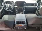 2024 Ford F150 STX