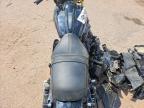 2025 Harley-Davidson Flhx