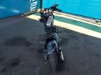 2010 Harley-Davidson XL883 N