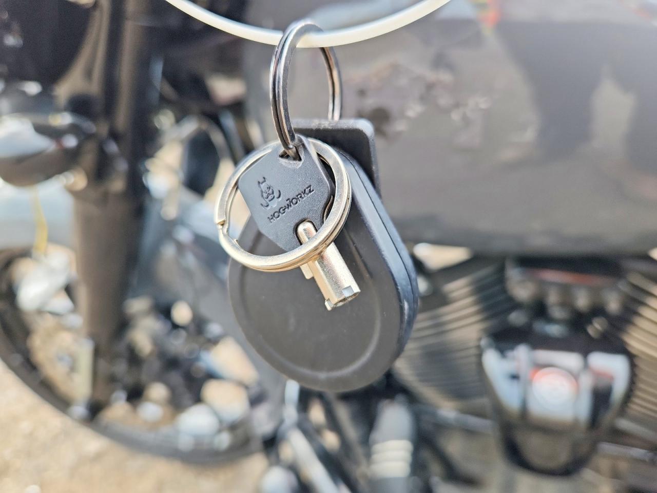 2022 Harley-Davidson Flhxs