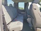 2024 Ford F150 XLT