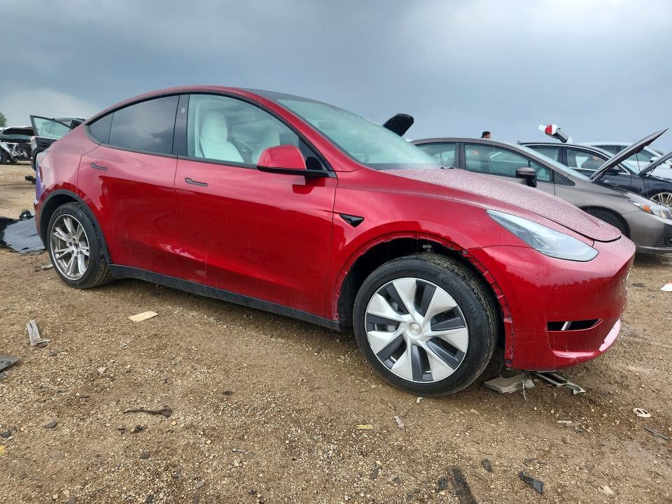 2024 Tesla Model  y