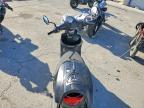 2026 Genuine Scooter Co. Buddy 170I