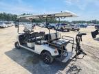 2022 Royal Electric Golf Cart