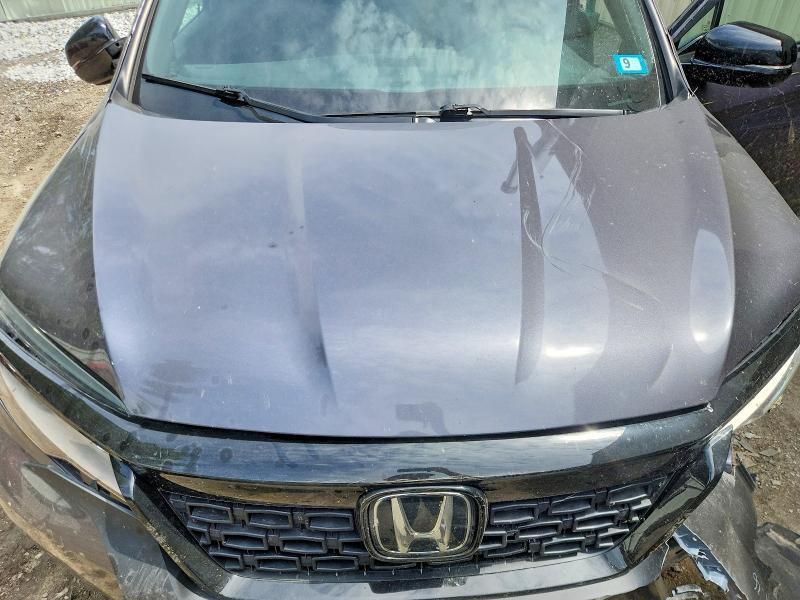 2021 Honda Passport Elite