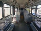 2006 GIL LIG Low Floor-Bus