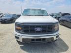 2024 Ford F150 XL