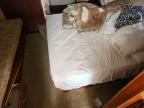 2007 Fleetwod 2007 Fleetwood Bounder RV