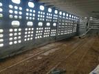 2026 EBY Livestock Trailer