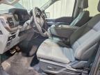 2025 Ford F150 XLT