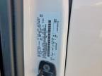 2024 Ford F150 XL