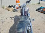 2005 Harley-Davidson XL1200 C