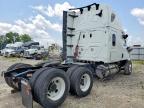 2025 Freightliner Cascadia 126