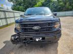 2025 Ford F150 XLT