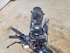 2020 Harley-Davidson XL883 N