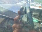 2025 Chevrolet Silverado K1500 Trail Boss Custom